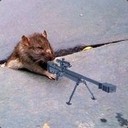 RatWithAGun